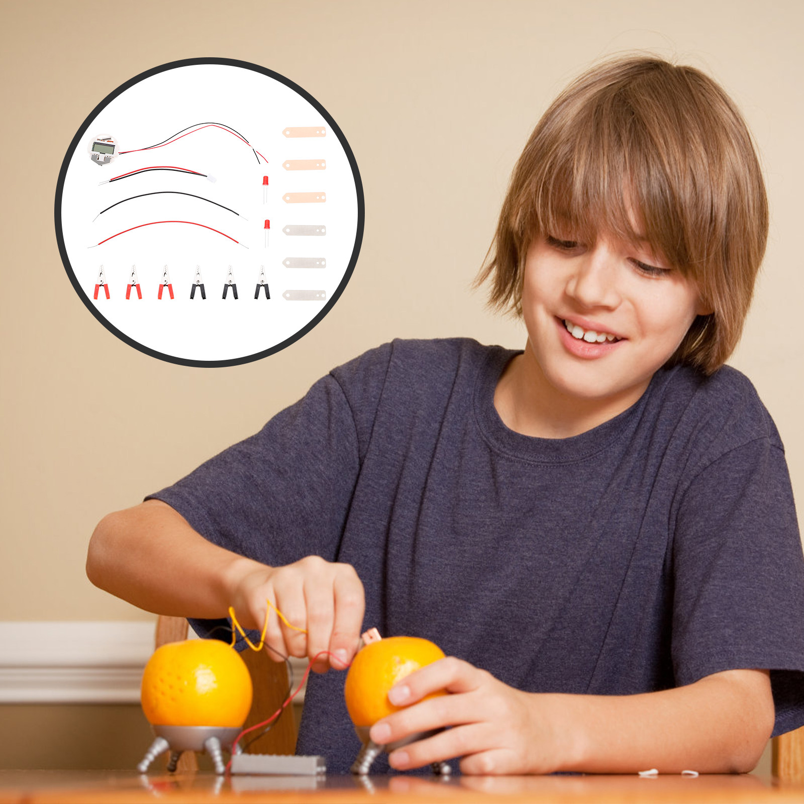 2Sets Fruit Battery Experiment - Science Project Physics ulasan dan harga