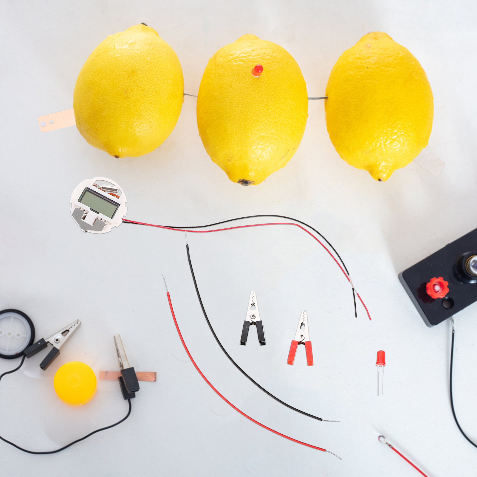 2Sets Fruit Battery Experiment - Science Project Physics ulasan dan harga